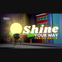 Shine Your Way