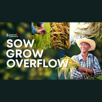 Sow Grow Overflow