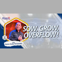 Sow, Grow, Overflow! Part 2