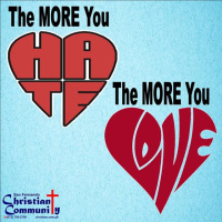 The More You Hate, The More You Love