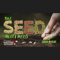 Change of Heart Part 2: Protecting the Seed that I Need