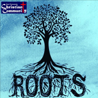 Where to Plant Your Roots