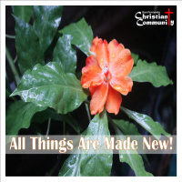All Things Are Made New