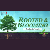 Change of Heart Part 4: Rooted and Blooming
