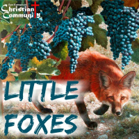 Little Foxes