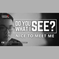 Do You See What I See (Nice To Meet Me)