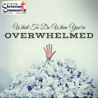What To Do When Youre Overwhelmed