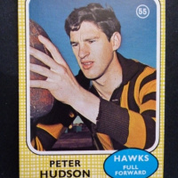 Peter Hudsons Football Life