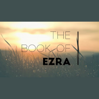 What Gets God Excited - Audio