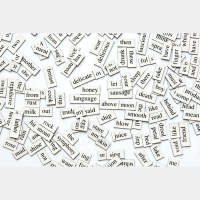 TERMS of the TRAIL with Ashley  AJW