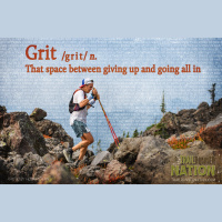 Grit: That Space Between Giving Up and Going All In