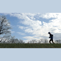 Finding the Truth  Debunking Myths with Dr. Mark Cucuzzella