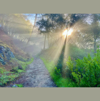 EP 714: The Life-Changing Decision to Run