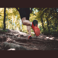 EP 668: Running with Science