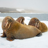 Episode 153: G.A.M.s Go Long...