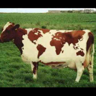 Carey Grammars Middle School English Radio Show