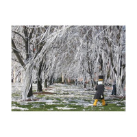 Roll The Quadcast Episode 28