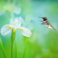 Do you need a miracle today? 