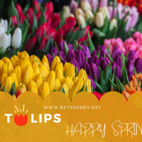 What is your hearts dream? 5 Dream Stealers. 