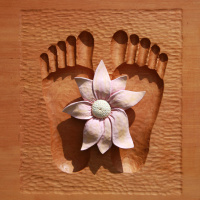 Shelly Graf: Buddhist Studies: The Buddhas Gradual Training - Week 3 of 5 - Talk