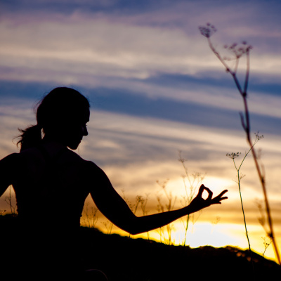 Stable Yoga With Amy Wolff