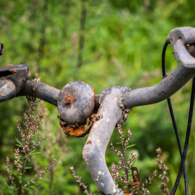 Sanshin Zen Communitys Podcast