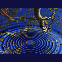 MOTM 20 Minute Guided Meditation For 2019 With Tim Krupar