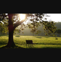 #156 Life After Death- A Journey with Grief. What Has Helped, What Hasnt.