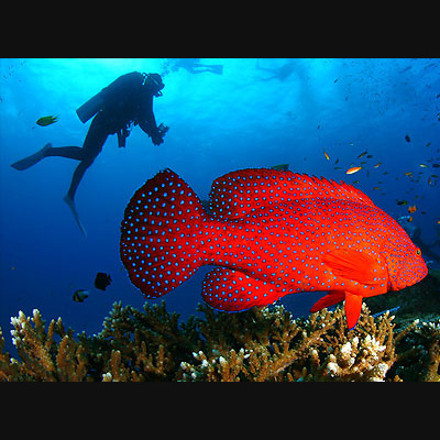 Marta On The Move Podcast- Hosted By Marta Napoleone Mazzoni