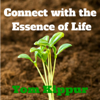 074 Connect with the Essence of Life – Yom Kippur
