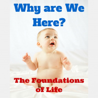 101 Why are We Here – The Foundations of Life