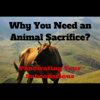 050 Why You Need an Animal Sacrifice – Penetrating Your Subconscious