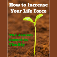 054 How to Increase Your Life Force – The Jewish Secret to Vitality