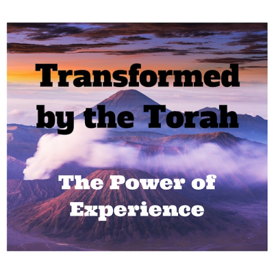 The Torah Podcast - Authentic Judaism