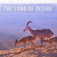 Breslov: (26) The Land Of Desire | LH | Shaya Sussman, LCSW