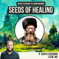 Rav Kook (5) Healing and Prophecy – Connecting Details to Vision