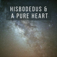 Lekutey Maharan Lesson 156. Hisbodedus And A Pure Heart. Shaya Sussman, LCSW