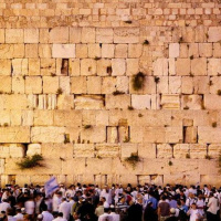 Are we in Denial? Tisha Baav. Kinna 31