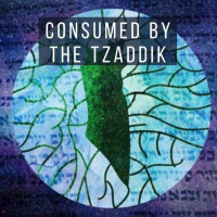 Breslov: (24) Consumed By The Tzaddik | LM #129 | Shaya Sussman, LCSW