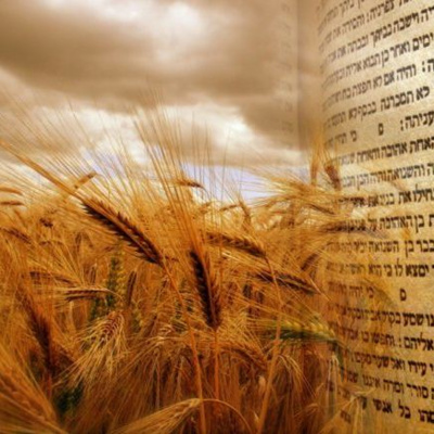 Nachdaily: 5 Minute Perek Of Tanach Covering The Entire Navi. Sefer Yehoshua, Shoftim, Shmuel, Melachim, Yeshaya, Yirmiya, Ye