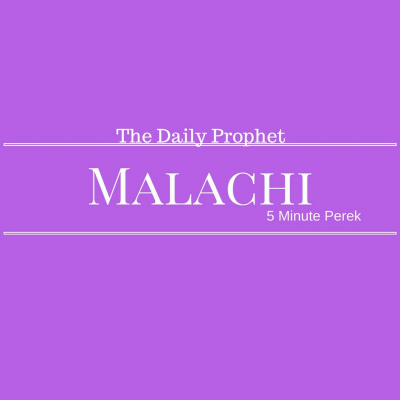 Nachdaily: 5 Minute Perek Of Tanach Covering The Entire Navi. Sefer Yehoshua, Shoftim, Shmuel, Melachim, Yeshaya, Yirmiya, Ye