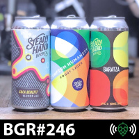 E246: Bees and Brews with Steady Hand Beer Co.