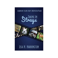 Taking in Strays: Leadership Lessons from Unexpected Places (w/Lisa Harrington)