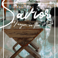 Snapshots Of The Savior // Manger In The Mall