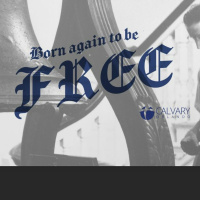 Born Again To Be Free // Eliberto Bonilla