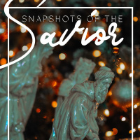 Snap Shots Of The Savior // Wonderful Counselor