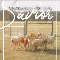 Snap Shots of the Savior // Week 2