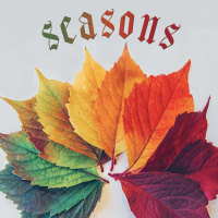 Guest Speaker // Kevin Kringel