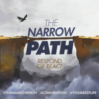 The Narrow Path: Respond Or React (Part 2) | Chris - August 9th 2015