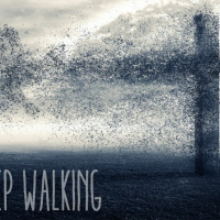 Keep Walking - Sharon Murphy - September 13th 2015